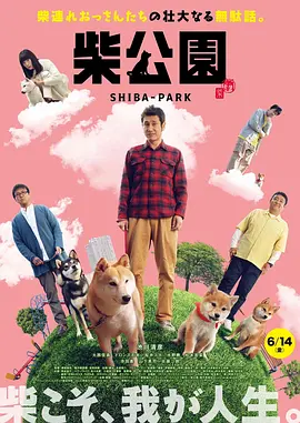 成年在线视频