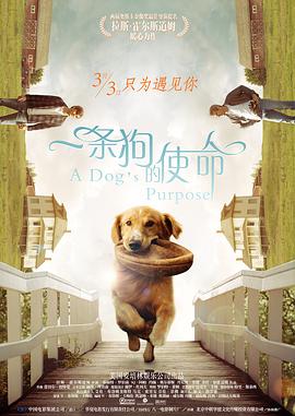 国产高清在线精品一区二区三区