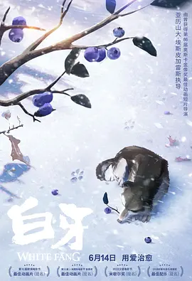 不中的妻子2