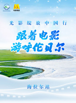 久久久久九九