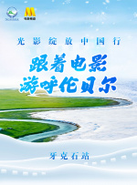 中文有码电影